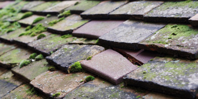 Chafford Hundred roof repair costs